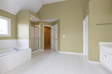 2611 Salt Meadow Rd, Naperville, IL 60564 - photo 7