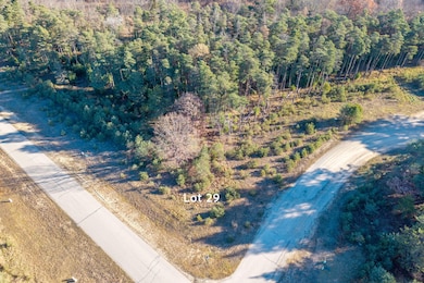 11210 Killarney Dr, Canadian Lakes, MI 49346 - photo 3