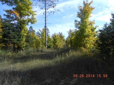 E Hulls Rd (4)