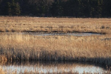 N8573 County Road H, Camp Douglas, WI 54618 - photo 2