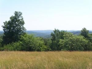 Land, View