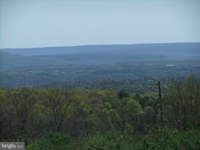 132 Gobbler Run Dr, Warfordsburg, PA 17267 - photo 7