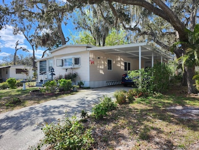 10704 Mayaka Loop, Riverview, FL 33569 - photo 4