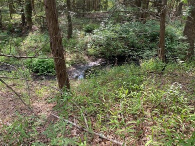 1105 County Road 807, Cleburne, TX 76031 - photo 7