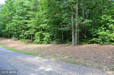 0 Bre Z Way Ln unit 1003061144, Lignum, VA 22726 - photo 4