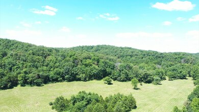 Tbd Cliff Rd, Union Township, MO 65459 - photo 4