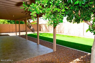 Back yard Patio.jpg