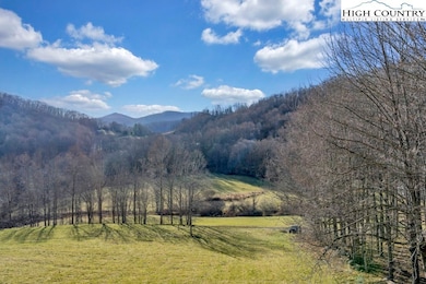 TBD Old Buffalo Trail, Boone, NC 28607 - photo 5