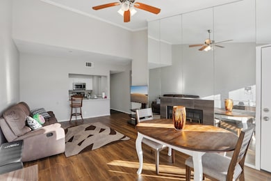 807 W 25th St unit 302, Austin, TX 78705 - photo 7