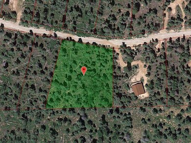 Google Earth Approx Outline