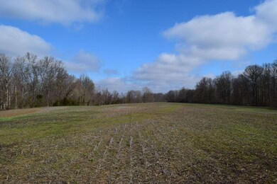 11000+ W 500 Rd N, Dupont, IN 47230 - photo 5