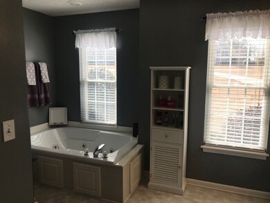 Master Bath Jetted Tub
