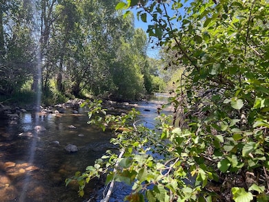 17,21,61 Cr 251, Vallecitos, NM 87581 - photo 6