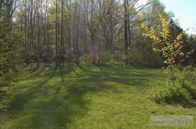 Yard: Plenty of yard...