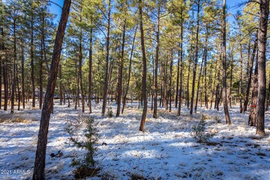 MATURE TREES