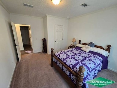 38 Dalton Rd, Delhi, LA 71232 - photo 3