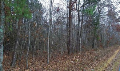 0 Woods Rd unit 1276957, Tunnel Hill, GA 30755 - photo 3