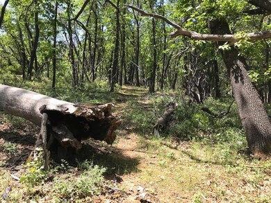 291 Ac Property 1