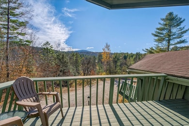 19 Winhall Condo Rd unit 5, Winhall, VT 05340 - photo 2