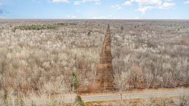 0 S County Line Rd unit 50195279, Shepherd, MI 48883 - photo 2