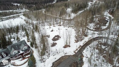 03-DJI_0565