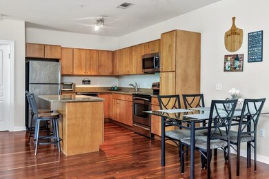 4 Repton Cir unit 4201, Watertown, MA 02472 - photo 5