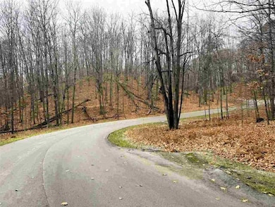 Lot 57 Valley Run Rd unit 57, Custer Township, MI 49615 - photo 7