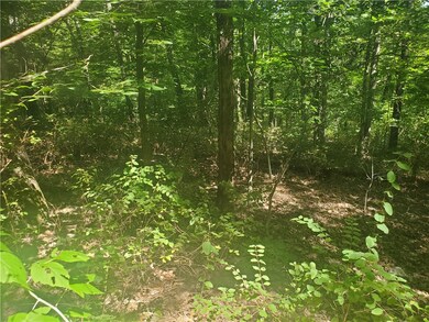 0 Netherton Ln, Bella Vista, AR 72715 - photo 5