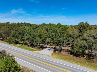 0 Silver Springs Rd unit 25040549, Evening Shade, AR 72532 - photo 4