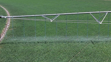 45533 County Road 38 9, Trinidad, CO 81082 - photo 6