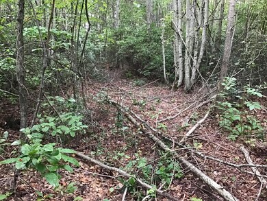 Tbd Bobcat Dr, Big Stone Gap, VA 24219 - photo 3