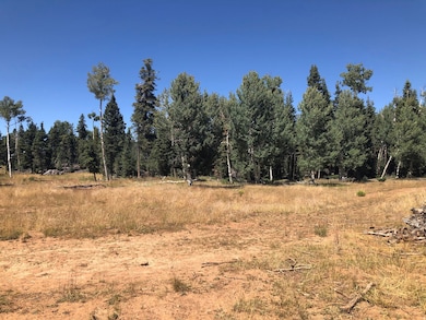 0 N Fork County Rd, Duck Creek Village, UT 84762 - photo 5