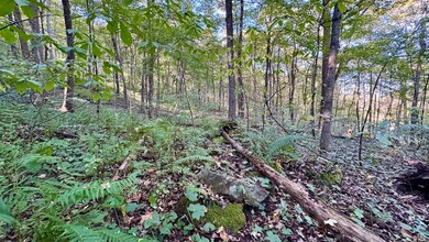 5139 Peggy Hollow Rd, Shoals, IN 47581 - photo 7