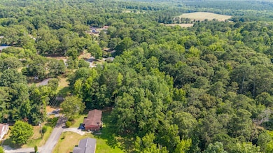 145 Willis Wilder Dr, Forsyth, GA 31029 - photo 4