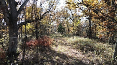 35 Doe Ave, Drakesville, IA 52552 - photo 6