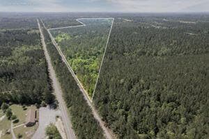 104.06 ac Cozy Corner and Old Hwy 49, Brooklyn, MS 39425 - photo 2