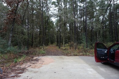 TBD Caddo Trail, Magnolia, TX 77354 - photo 3