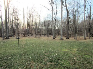 Wooded rear yard