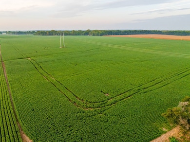 3497 SW County Road 1067, Butler, MO 64730 - photo 7