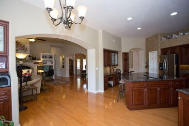 Kitchen,Family room, and Dining Room