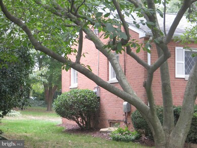 6400 Pickett St, Alexandria, VA 22306 - photo 5