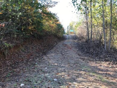 2915 Big Level Rd unit 1, Mill Spring, NC 28756 - photo 5