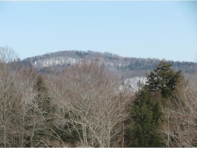 00 Bixby Rd, Ludlow, VT 05149 - photo 6