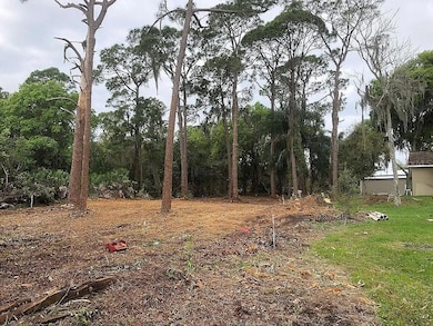 674 Nemo Dr, Sebring, FL 33870 - photo 3