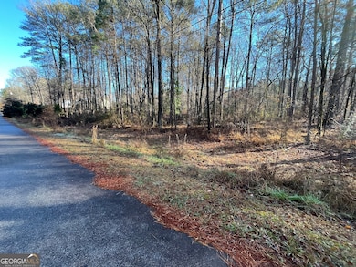 0 Oak Leaf Dr unit 10651351, Stockbridge, GA 30281 - photo 2