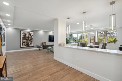 The Trianon unit 208, Bala Cynwyd, PA 19004 - photo 4