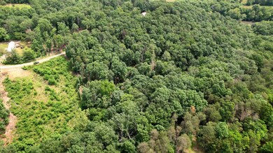 Lot 40 Off N View Dr, Stanley, VA 22851 - photo 7