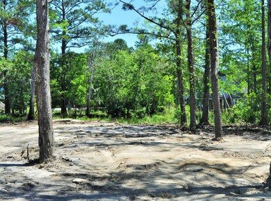 O Lowtide Dr, Escatawpa, MS 39562 - photo 7