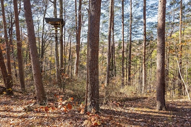 2024_12_December_0_Powder_Springs_Cir_00