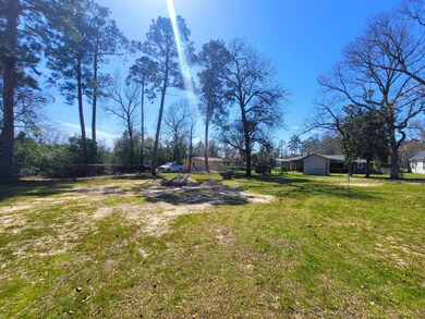POV: Center of the lot